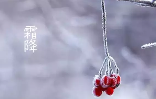 霜降有关的诗句有哪些 关于霜降的诗句大全