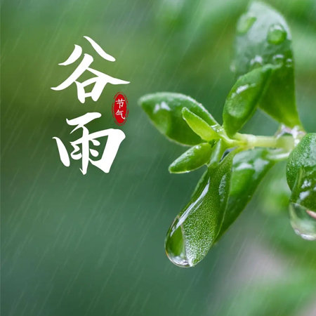 2022谷雨节气发朋友圈图片素材合集