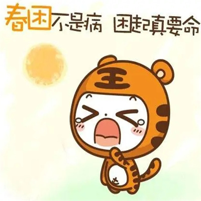 搞笑表情包