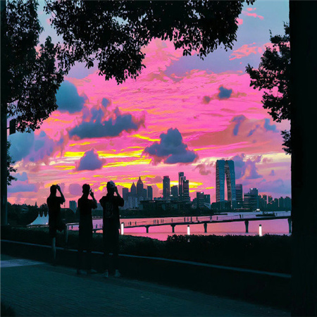 能治愈心情的优质配图 十分养眼风景静物配图无水印