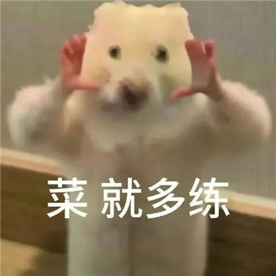 教你聊天的斗图表情-快乐搞怪聊天的斗图表情合集