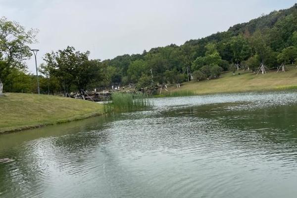 苏州有哪些比较具有特色的免费的城市公园景点