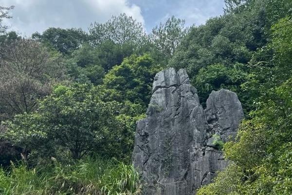 福建鳞隐石林门票价格及游玩指南